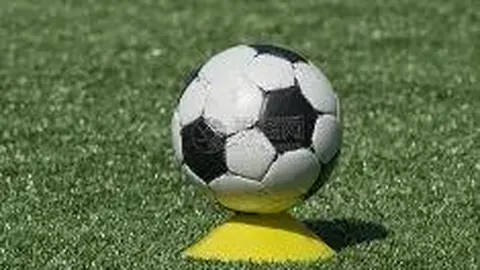 金宝博205bet体育 产品 063042 8gz