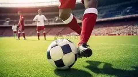 金宝博205bet体育